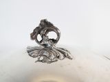 an image of a silver plate with a fish on it