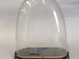 a glass clochet with a wooden base on a white background