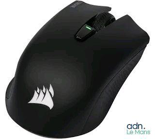 La souris est noire et porte un logo blanc.