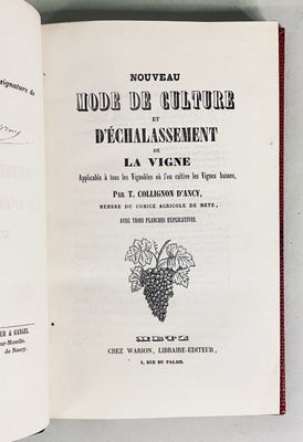 an open book with a picture of a bunch of grapes on it