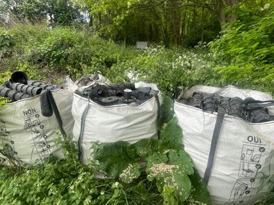 trois sacs de charbon posés au milieu de la forêt