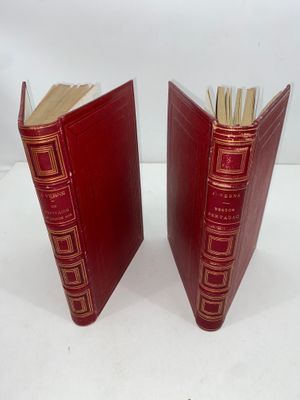 paire de serre-livres anciens en cuir rouge avec des finitions dorées