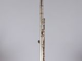an old silver flute sitting on top of a glass stand