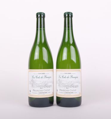 deux bouteilles de vin posées l'une à côté de l'autre sur une surface blanche