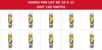 pack de 12 vendu par lot de 10 x 12