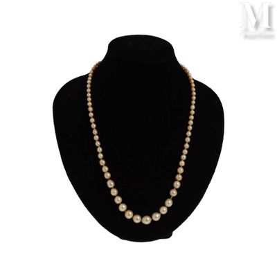 Collier de perles Collier de perles* en chute, le fermoir au… - Photo 1