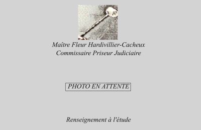 la couverture d'un livre sur laquelle figure l'image d'une brosse à dents