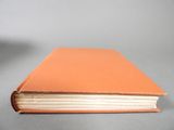Photo 19/44 du lot