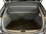 a trunk of a car with its trunk open