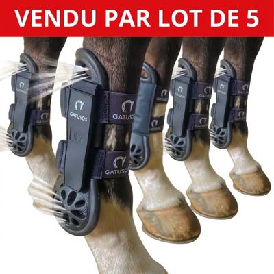 four pairs of boots that are attached to the legs of a horse