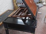 un piano noir posé dans une pièce, avec un chien debout à côté