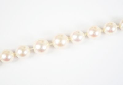 a close up of a strand of white pearls on a white surface