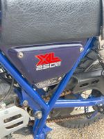 HONDA L2505 - Genre : MTT2 - Carrosserie : SOLO - Energie : … (photo 5)