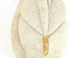 a white towel with a gold ring on top of it