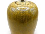 un récipient en forme de pomme muni d'un couvercle, posé sur une surface blanche
