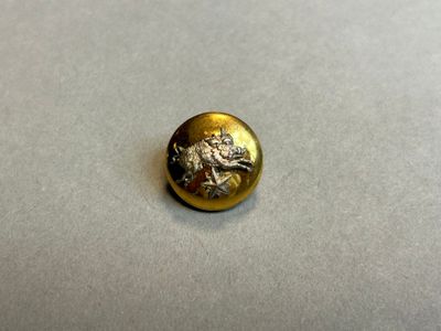 un gros plan sur un bouton doré orné d'une grenouille