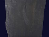 an image of a black stone sculpture of a face