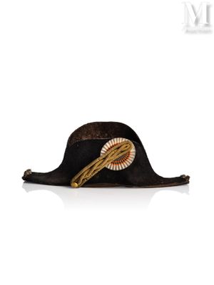 an image of a hat with a feather on it