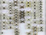 a lot of butterflies that are on display in a glass case