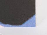 a black cat sitting on top of a blue blanket