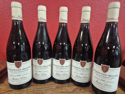 six bouteilles de vin sont alignées sur une table en bois