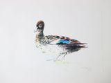 a drawing of a duck that is standing in the water