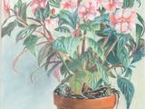 painting of a potted plant with pink flowers on a green table