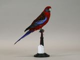 a red and blue bird sitting on top of a black stand