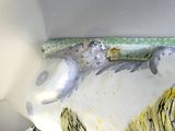 un gros plan d'une cuvette de WC sur laquelle est peint un animal