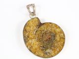 une image d'un pendentif représentant une ammonite fossilisée sur fond blanc