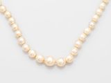 a white pearl necklace with a gold clasp on a white background