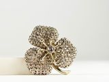 a close up of a gold ring with a four leaf clover