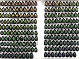 two rows of green and black beetles on a white wall