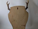 a wooden plaque with a deer ' s head on it