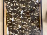 a picture of a display of butterflies in a glass case