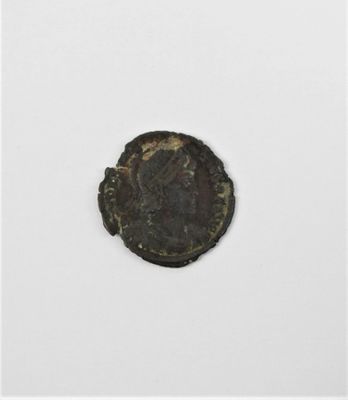 une vieille pièce de monnaie sur laquelle figure un cheval, posée sur une surface blanche