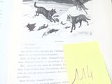 un livre ouvert sur lequel figure l'image d'un chien et d'un chat