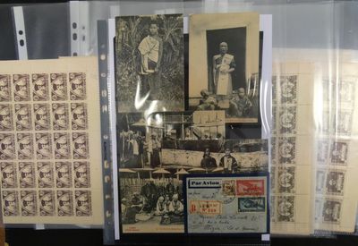 de nombreux timbres anciens exposés dans une vitrine