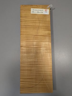 Fond en deux parties en érable pour violon, ~39,5cm