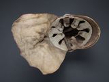 an image of a close up of a piece of wood with a hole in it