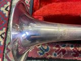 a silver trumpet sitting in a red case on a rug