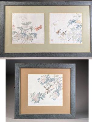 two framed paintings of birds and flowers on a white background