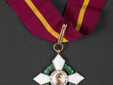 a close up of a medal with a ribbon around it