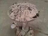 a mushroom on a pedestal in the middle of the floor