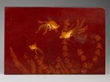 two goldfishs swimming in a pond of water