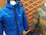 Photo 1/5 du lot