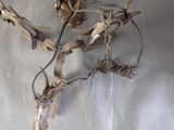 a piece of wood that has been made into a tree branch