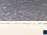 Photo 2/2 du lot