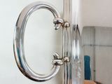 a person that is holding onto a handle in a bathroom