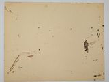 an old photo of a piece of paper with some paint on it